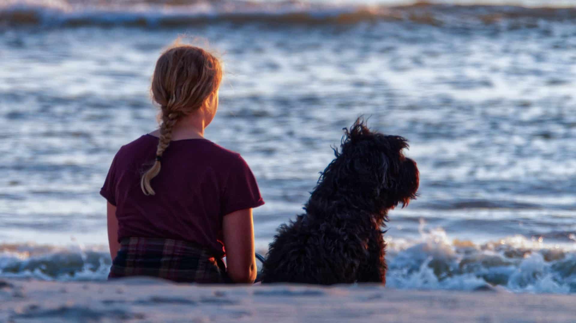 Persoon naast hond op het strand, zittend, achterzijde