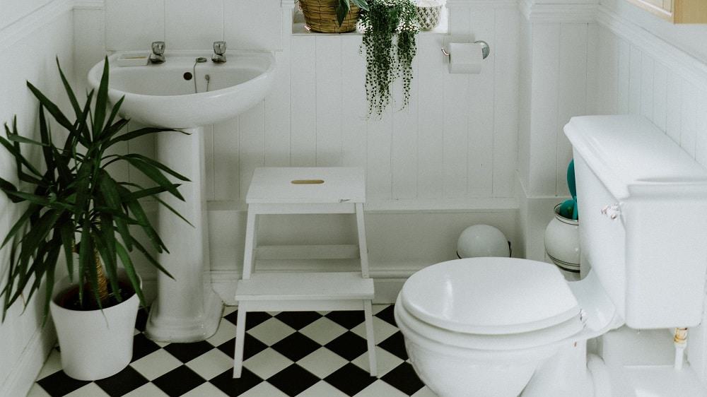 Afbeelding van een badkamer met een wc, planten, een wastafel en een krukje. 