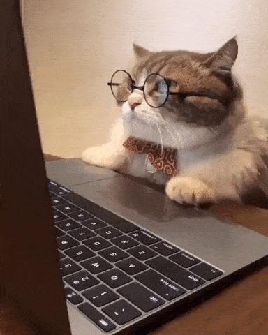 Kat met een bril achter een laptop
